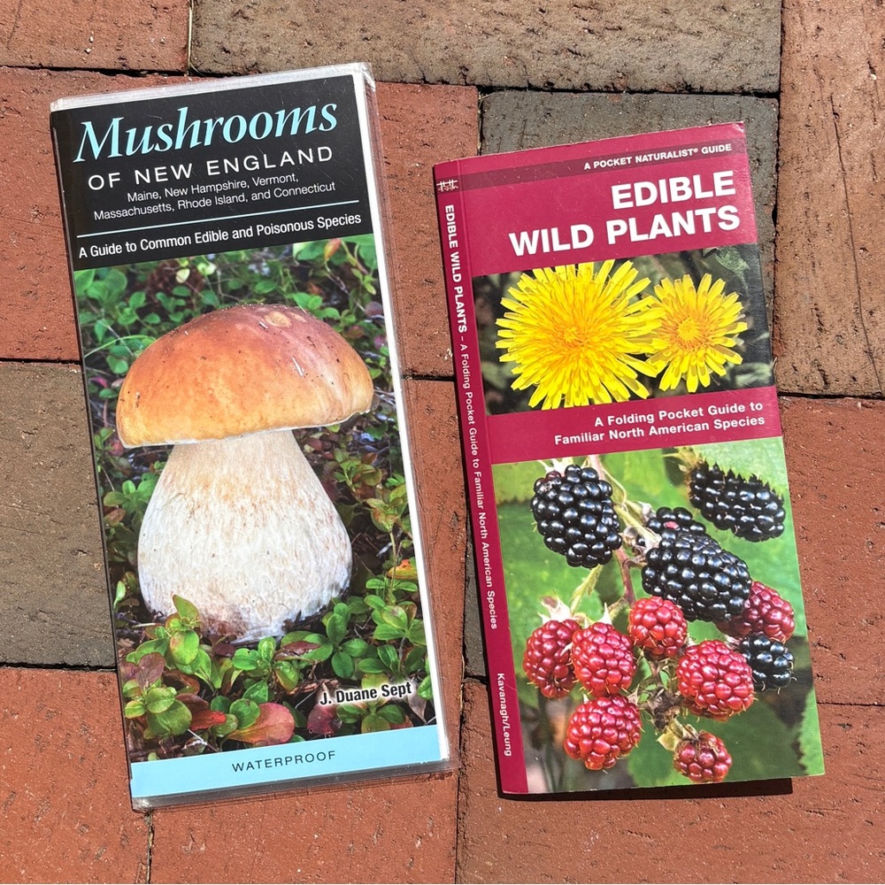 2 Field Guides Mushrooms of New England Edible Wild Plants Fungi Cattail Berries
